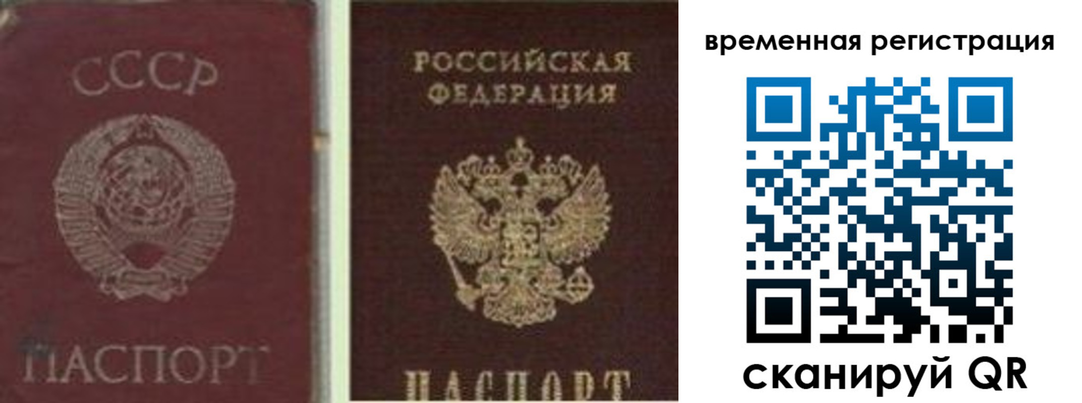 найти адрес прописки в Зернограде