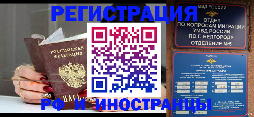 прописка в Зернограде